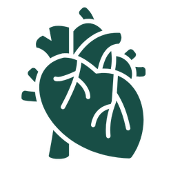 Cardiology