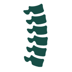 Chiropractic