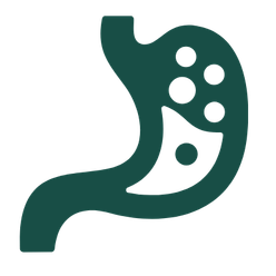 Gastroenterology