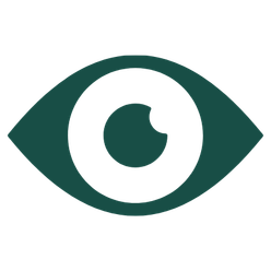 Ophthalmology