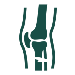 Orthopedics