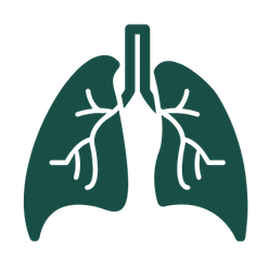 Pulmonology