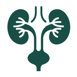 Urology