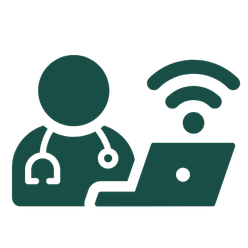 Telehealth Providers